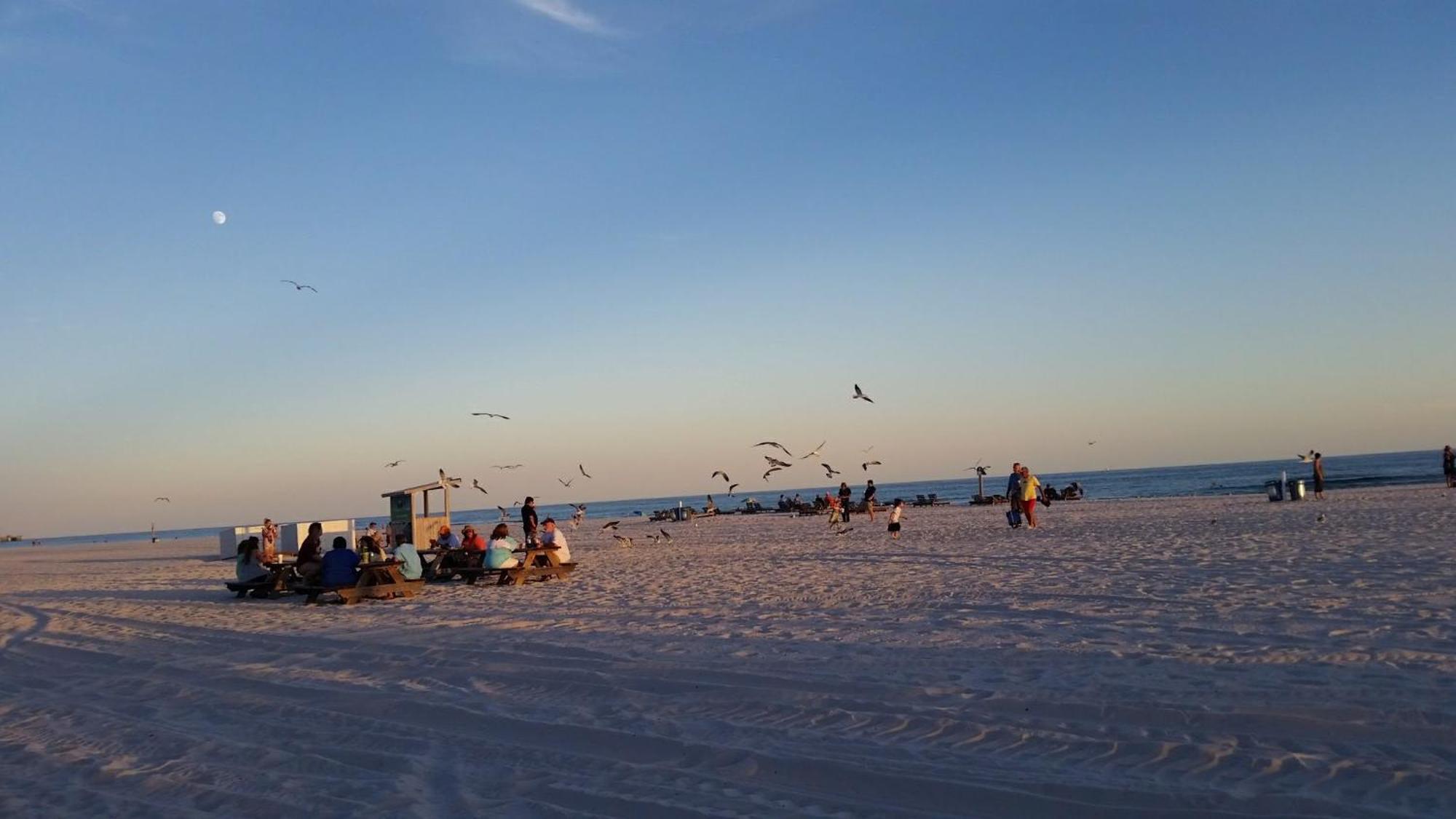 A Wave From It All Beach Resort Gulf Shores Luaran gambar